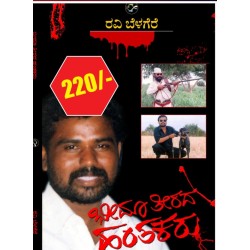 ಭೀಮ ತೀರದ ಹಂತಕರು